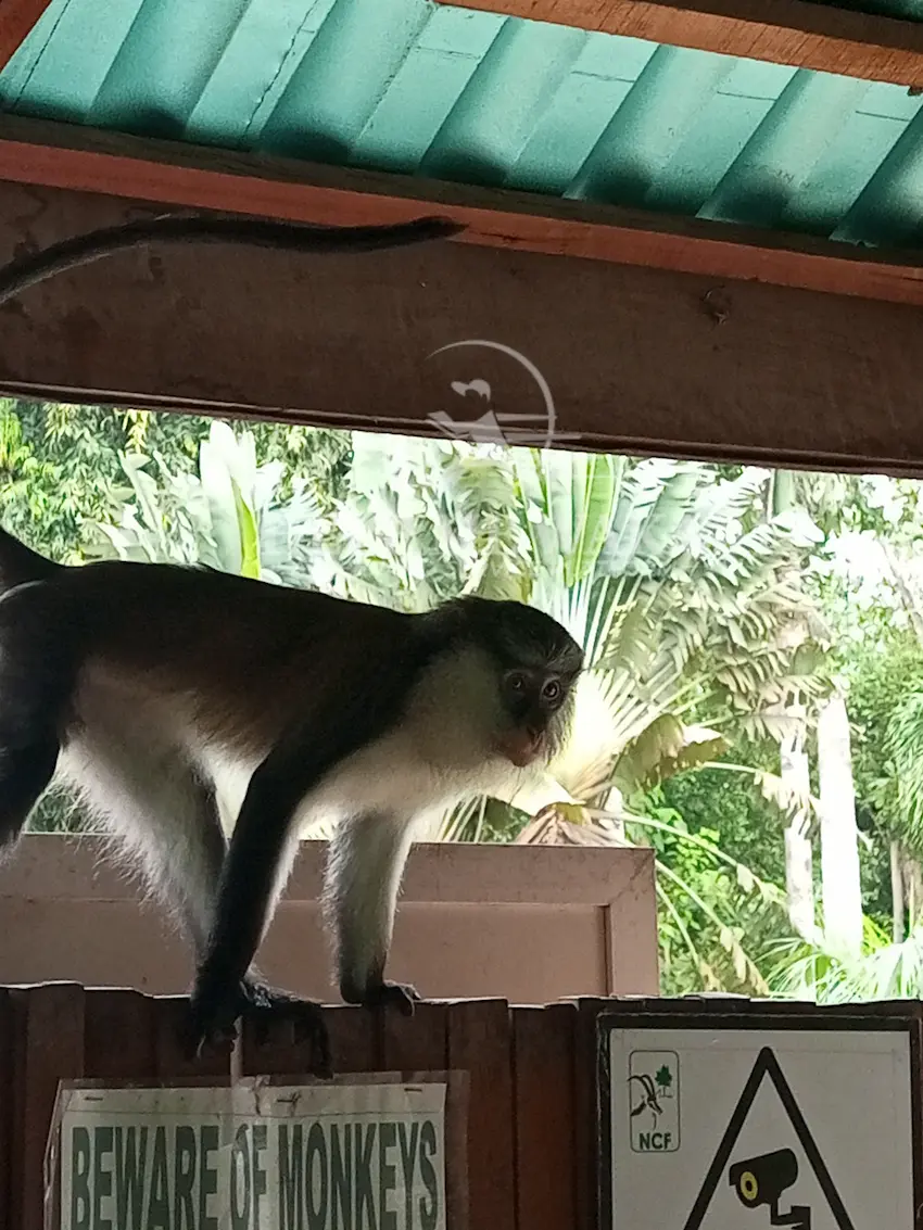 Lekki Conservation Center, Lagos State