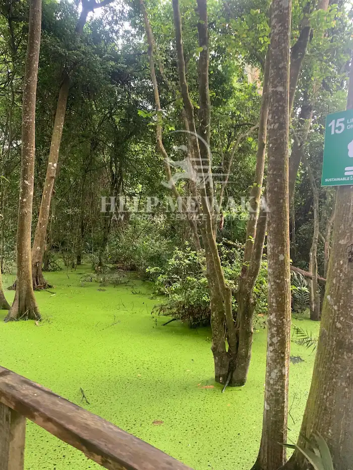 Lekki Conservation Center, Lagos State