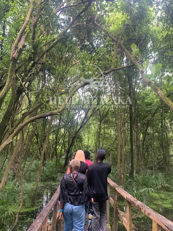 Lekki Conservation Center, Lagos State