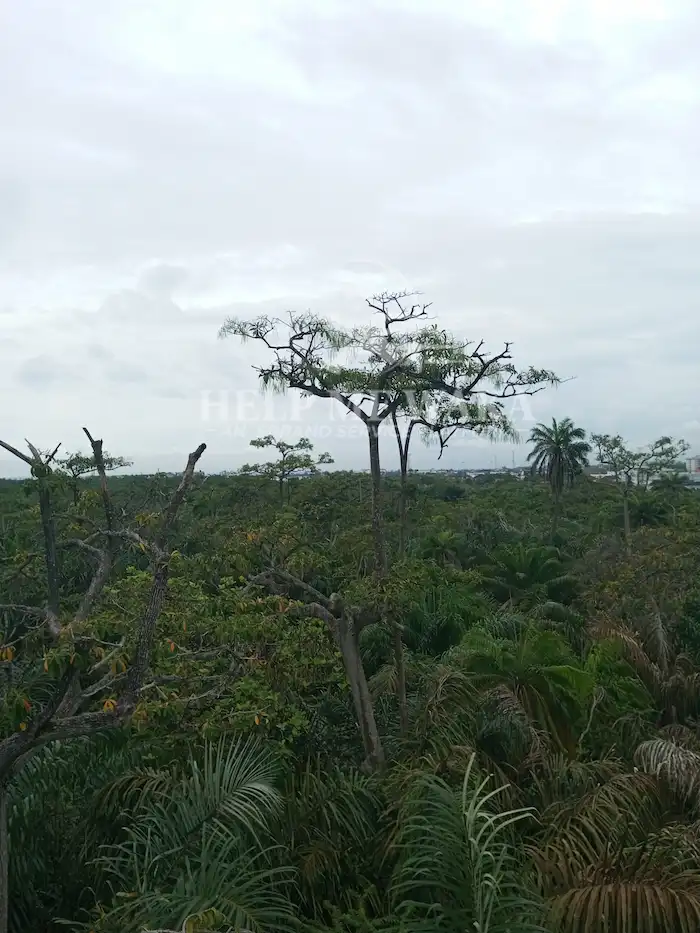 Lekki Conservation Center, Lagos State