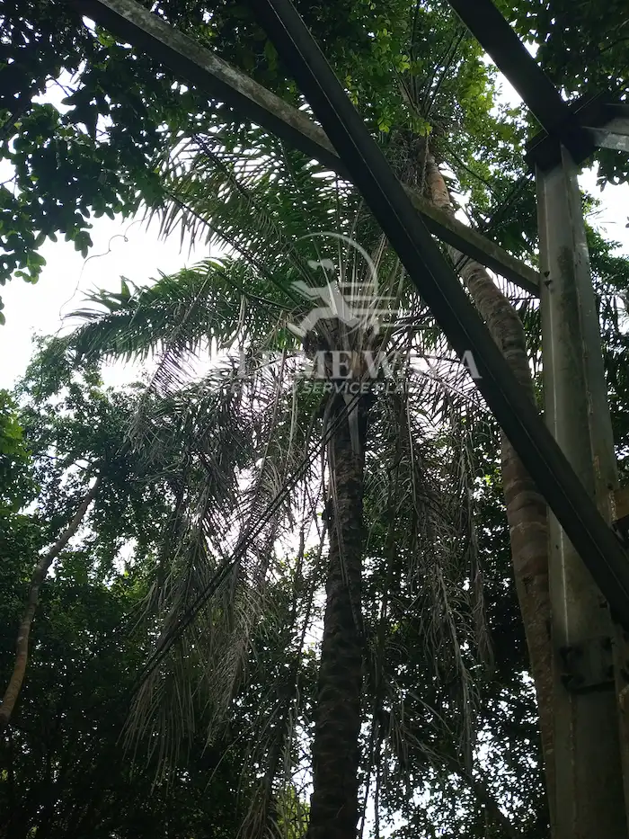 Lekki Conservation Center, Lagos State