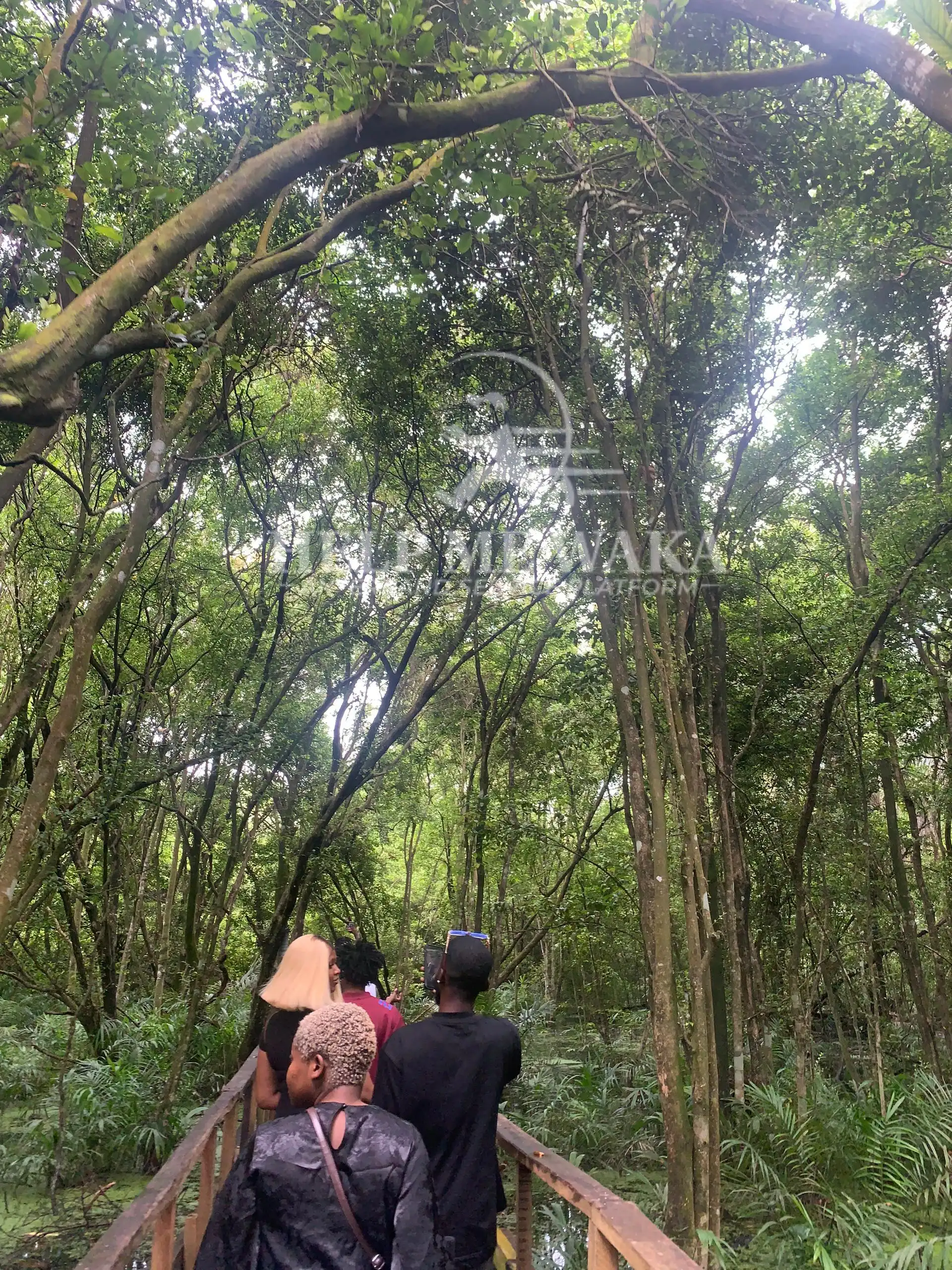 Lekki Conservation Center, Lagos State